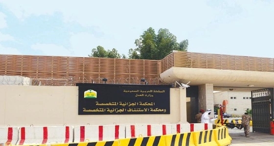 " الجزائية "  تقضي بسجن " داعشي " 11 سنة
