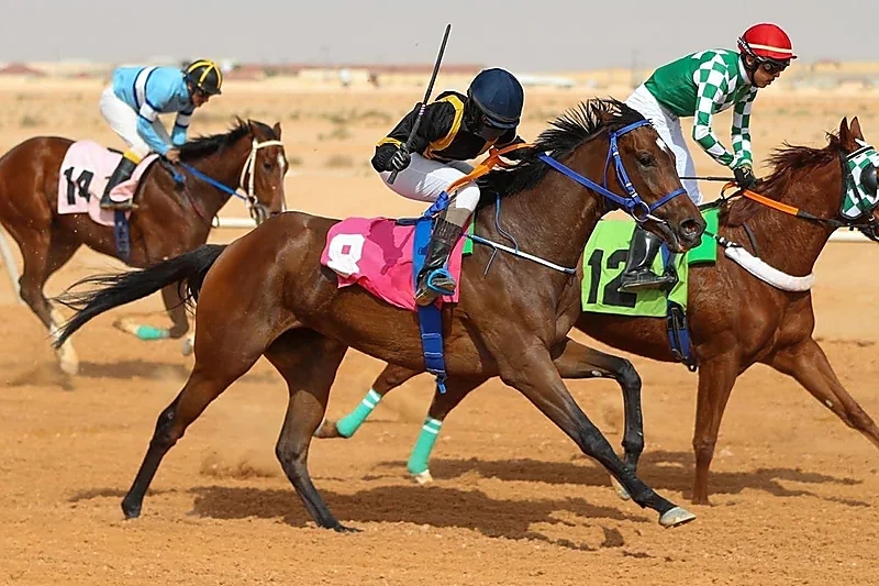 مرور عسير يضبط قائد مركبة ظهر في وسائل التواصل مدعيا تجاوز النظام 