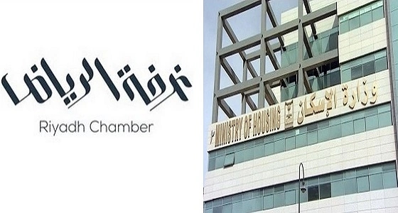 فوز متسابقين بسيارين في مباريات كأس الملك