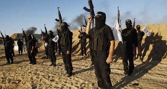 باحث إسلامي يكشف الأسباب الحقيقة وراء انتشار الإرهاب بسيناء
