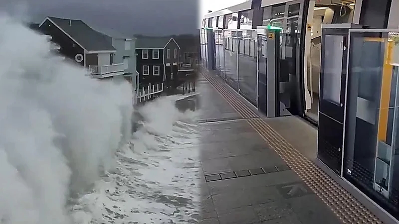 أمريكا تعلن حالة الطوارئ في هاواي بعد وقوع زلزال ضخم بالمحيط الهادي.. فيديو