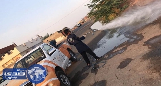 بالصور.. 120 مليون ريال لمكافحة بعوض حمى الضنك بمكة