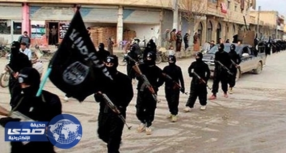 مفتي مصر: «علي بن أبي طالب» تنبأ بظهور «داعش» قبل 14 قرنا