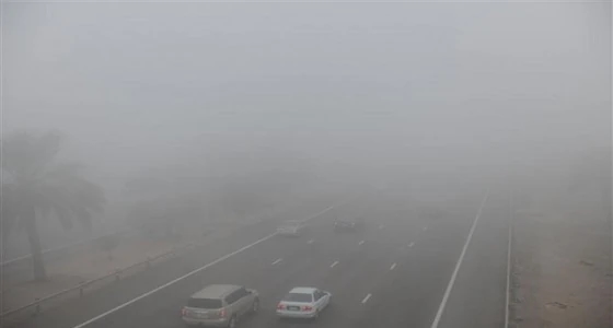 الإنذار المبكر يحذر من تشكل ضباب يعيق الرؤية بأجزاء من المملكة