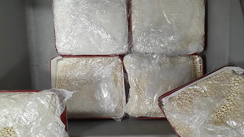 القبض على امرأة تقود شبكة لتهريب المخدرات في لبنان