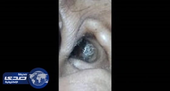 تحريات تبوك تضبط سارق الــ 27 مركبة