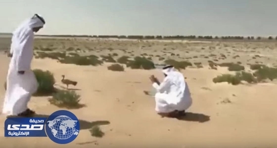 يماني: المملكة ستقر قوانين تخص برنامجها النووي قريبا