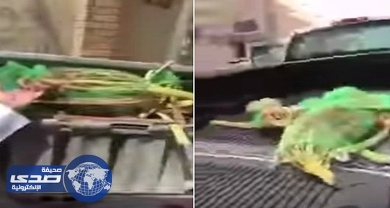بالفيديو.. رجال يرقصون في صالة للنساء بحفل زفاف بسكاكا