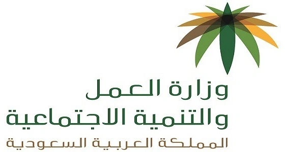 " العمل " تعلن ضبط 7 آلاف مخالفة للعمل والتوطين خلال الـ 3 أشهر