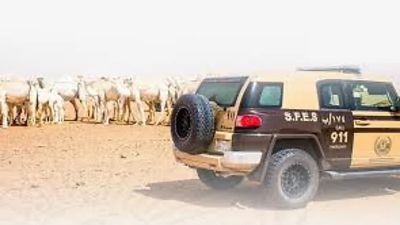 بالفيديو.. سيارة ملاكي تقل 17 شخصا