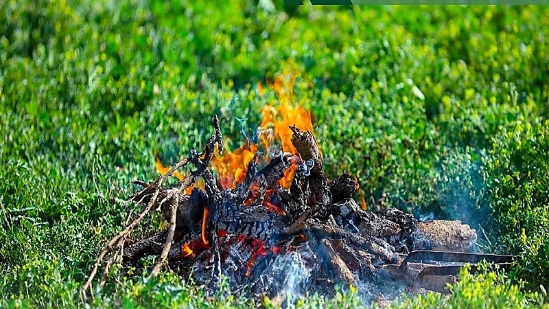 الأمن البيئي يحذر: غرامة 3 آلاف لإشعال النار على أراضي الغطاء النباتي