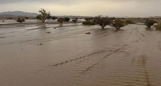 12 ورقة عمل تبحث تطوير بيئة السجون في جدة