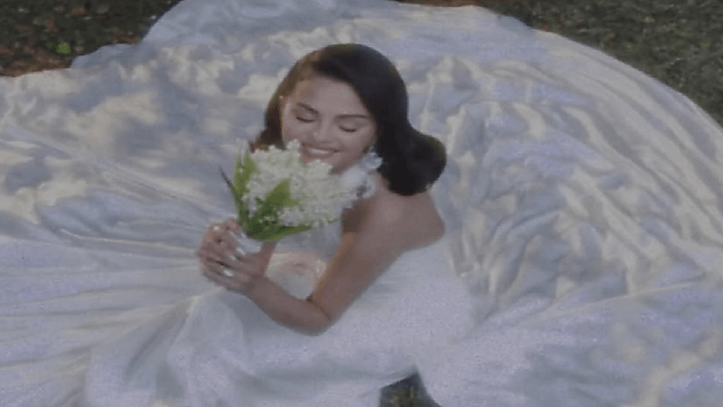 سيلينا غوميز تحتفل بزواجها من منتج موسيقي .. صور