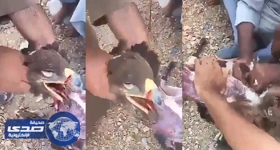 بالفيديو.. امرأة تهاجم تعدد الزوجات " الله خلق واحدة يأبو عيون زايغة "
