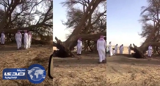 بالفيديو.. ألعاب نارية تسقط فنانا كويتيا على المسرح