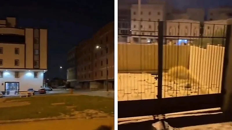 مقبرة فى منتصف إحدى حدائق مكة المكرمة .. فيديو