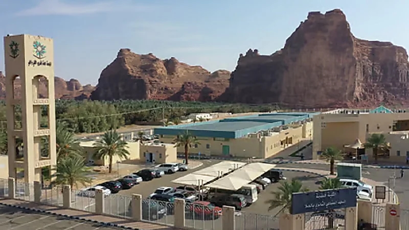 طرح 100 وظيفة في ملتقى التوظيف بالعلا