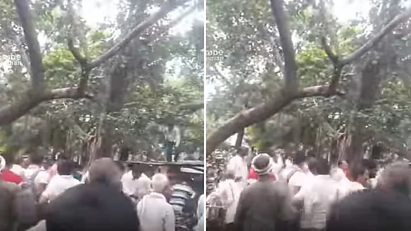 قرد يتسلل لمقر حكومي ويسرق حقيبة نقود .. فيديو