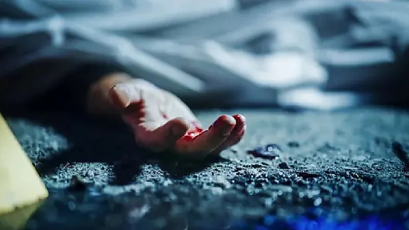 WhatsApp Image 2025-09-05 at 11.01.10 PM.jpeg