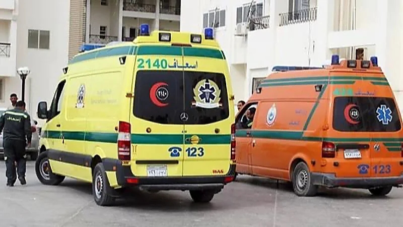 WhatsApp Image 2025-09-26 at 2.02.02 PM.jpeg