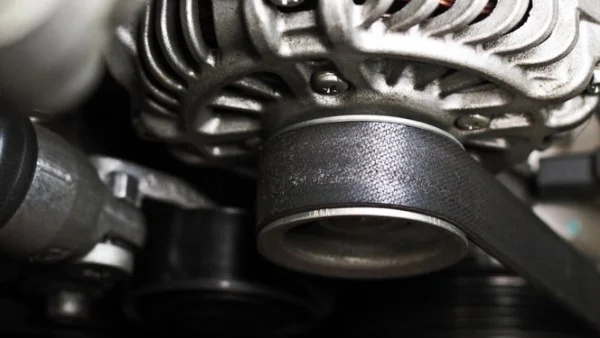 WhatsApp Image 2025-09-29 at 8.37.38 PM.jpeg