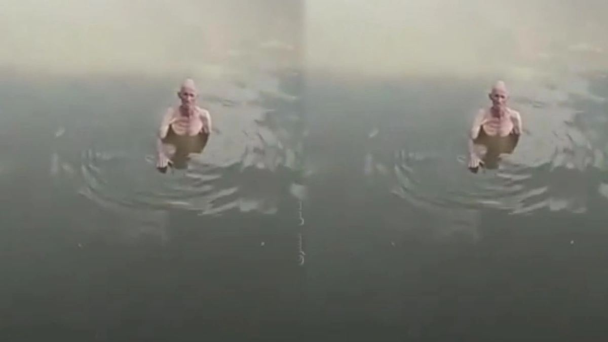 ارتفاع منسوب مياه النيل يتسبب في غرق عدد من القرى المصرية ..فيديو