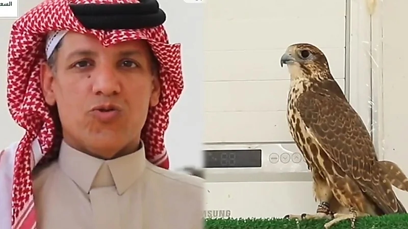 مواطن يحافظ على إرث والده في تربية الصقور ويحوله إلى استثمار ناجح.. فيديو