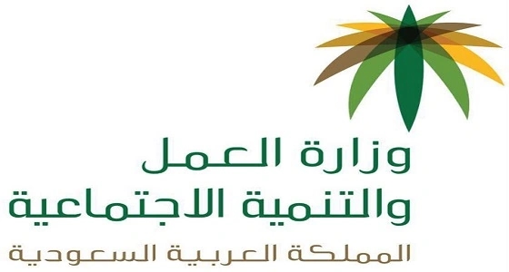 " التنمية الاجتماعية " تنقذ شقيقان معتلان نفسيًا من النوم في شوارع الوجه