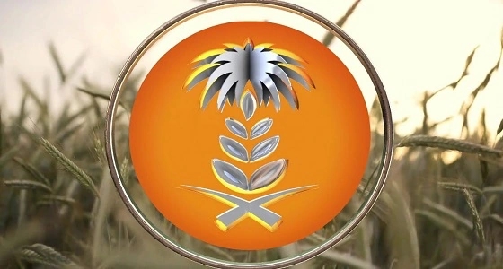 المؤسسة العامة للحبوب تطرح مناقصة لاستيراد 1.5مليون طن شعير علفي