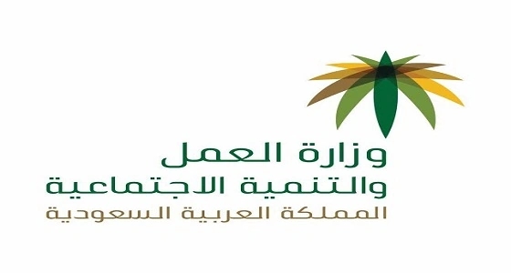 " العمل " تدعو مستفيدي " التأهيل " لتحديث البيانات تجنبا لوقف الإعانة