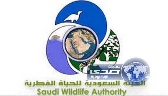 اﻟﮭﯿﺌﺔ اﻟﺴﻌﻮدﯾﺔ ﻟﻠﺤﯿﺎة اﻟﻔﻄﺮﯾﺔ ﺗﺤﺪد ﯾﻮم 17ﺻﻔﺮ اﻟﺤﺎﻟﻲ ﺑﺪاﯾﺔ ﻟﻤﻮﺳﻢ ﺻﯿﺪ اﻷراﻧﺐ 