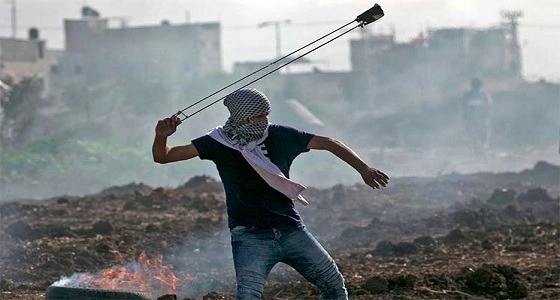 القمة الإسلامية الاستثنائية السابعة تطالب بتوفير الحماية الدولية للفلسطينيين