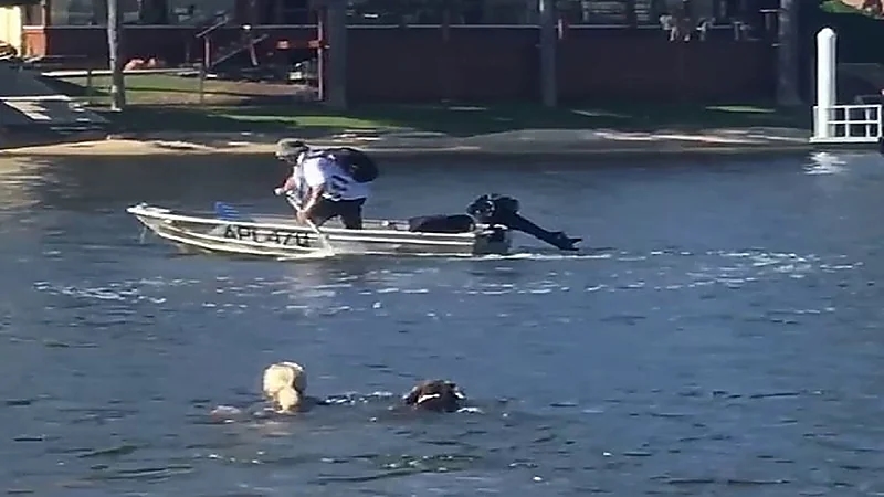 بالصور.. أم تقفز في المياه وتطارد لص حاول سرقة قارب ابنها