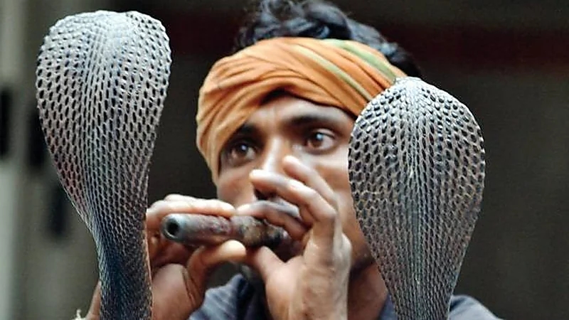 امرأة تستعين بأفعى وعازف لتخلص من حبيبها