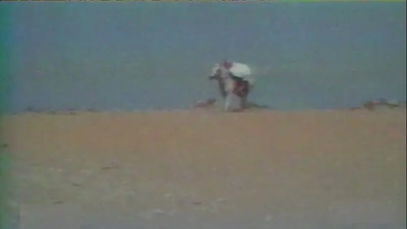 قصة هادي بن قرملة الذي حارب بضراوة وقاتل ببأس (فيديو)