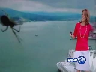 ضبط 81 بدلة عسكرية و 361 شعار عسكري في القصيم "صور"