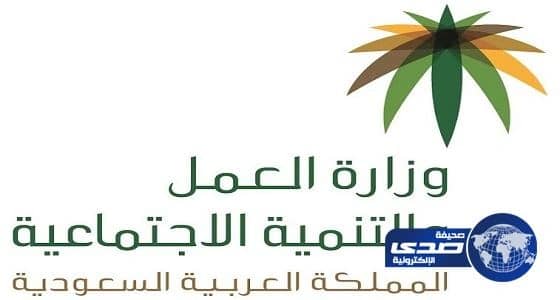 جولة تفتيشية لعمل جازان تسفر عن ضبط العديد من مخالفات "السعودة"