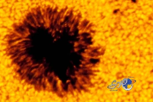 شمس الأسطورة تفاجئ جمهورها بعودتها إلى طليقها 