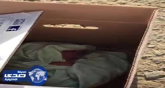 العمل تكشف مصير الطفل الرضيع المُلقى بجوار صندوق قمامة بخميس مشيط «فيديو»