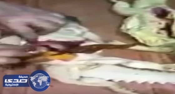 ⁠⁠⁠⁠⁠بالفيديو.. فرحة عارمة لمسنة لإهدائها «ضب»