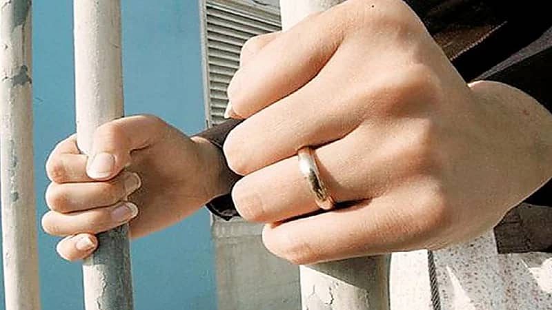 فيديو.. طيار إيرباص يحاول تجنب الاصطدام بسرب من طيور النورس