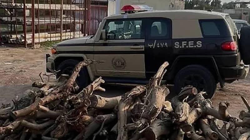 الإطاحة بمواطن و 4 مخالفين لنظام البيئة في عسير والشرقية