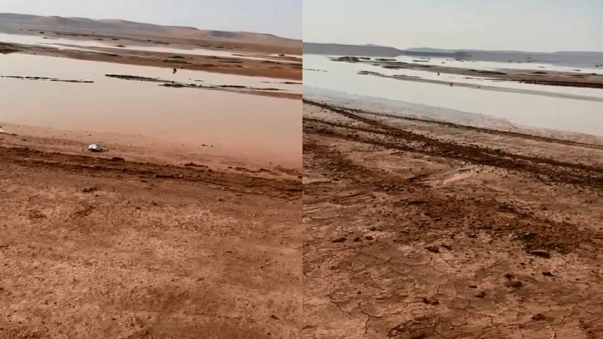 بالفيديو.. بلطجية يذبحون شاب قبل زفافه بسبب خاتم فضة