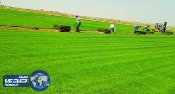 590 ألف عامل أجنبي يعملون بالزراعة وتربية الحيوانات بالمملكة