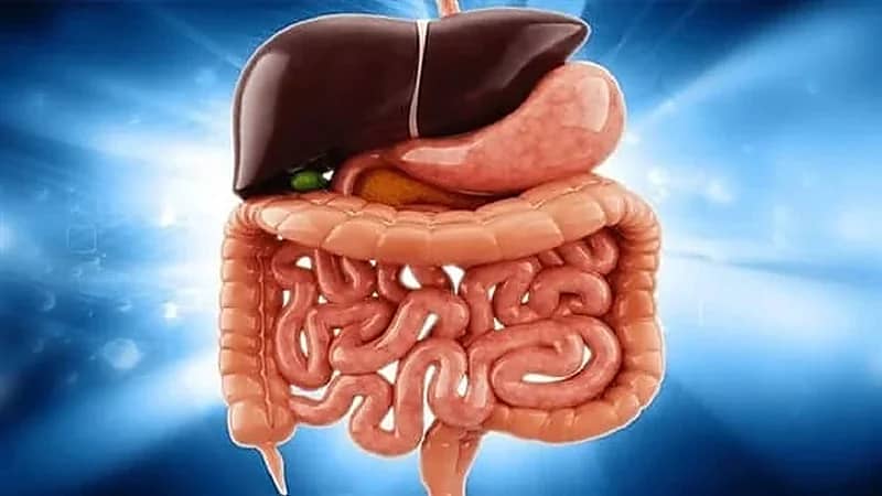 توابل مهمة تساعد على تجنب عسر الهضم في عيد الفطر
