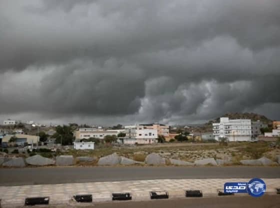 بلدية المجاردة تنفي صحة صور أشجار «شارع الفن»