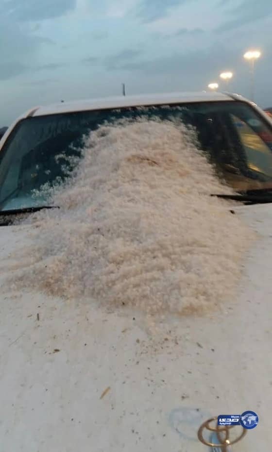 أخر ضحايا طريق بلقرن أسرة ما بين المقبرة والطوارئ