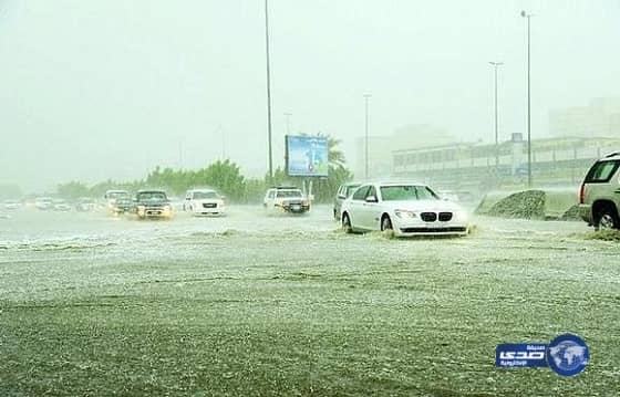 خروف يقطع أكثر من عشرين كيلو للعودة لصاحبه