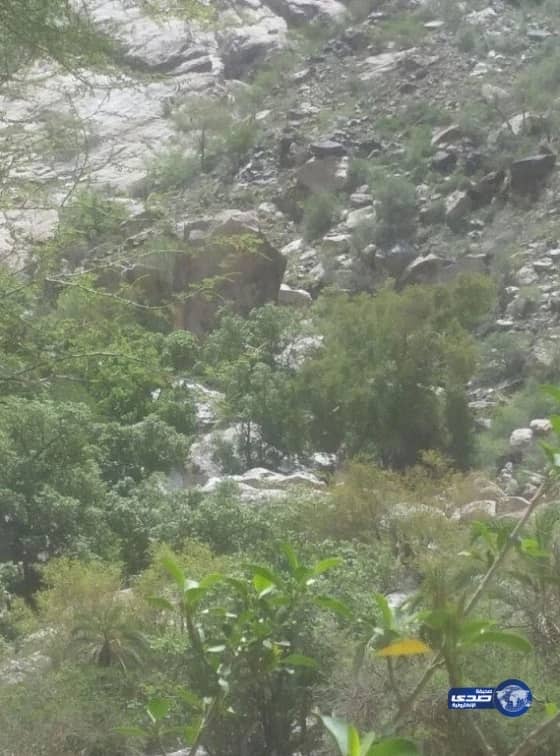 "التسليف" يعتمد تمويل 541 مشروعًا في قطاع "الاتصالات"