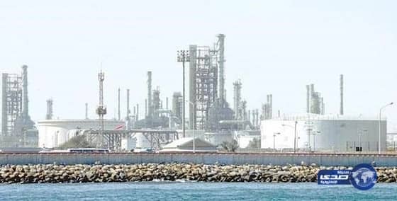 هيئة كبار العلماء تنفي صدور فتوى عن الهيئة تتعلق بلعبة «بوكيمون»